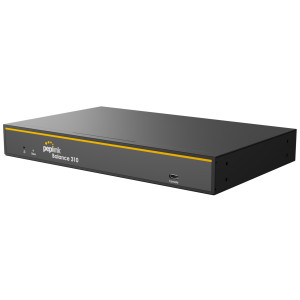 Peplink BPL-310-PRM Balance 310 Router for 5G and Starlink, 54V 1.2A Power Supply included, dual 2.5G Ethernet WAN